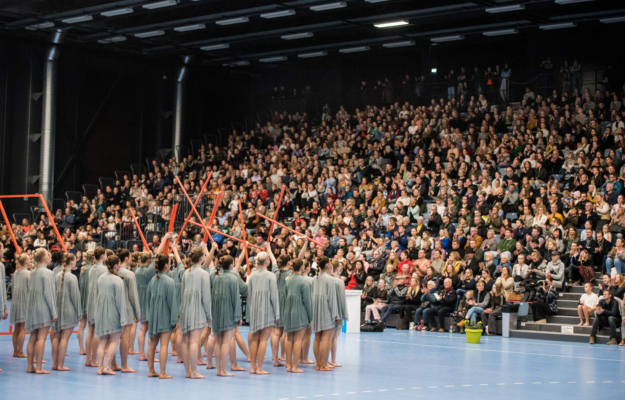 DGI Forårsopvisning I Roskilde (6)