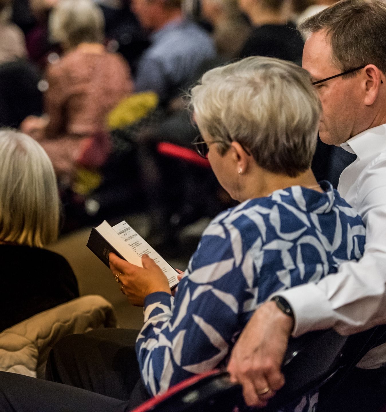 3 Sjælland Synger Tile Item 1 Large PC 1348X 1440 Px