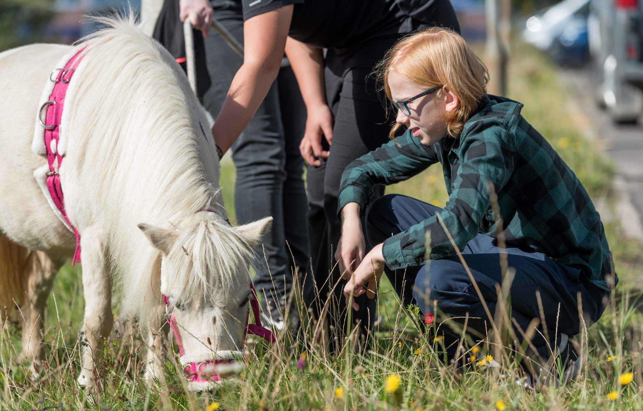 Pony På Besøg Ved Uddannelsesmesse For Udsatte Unge