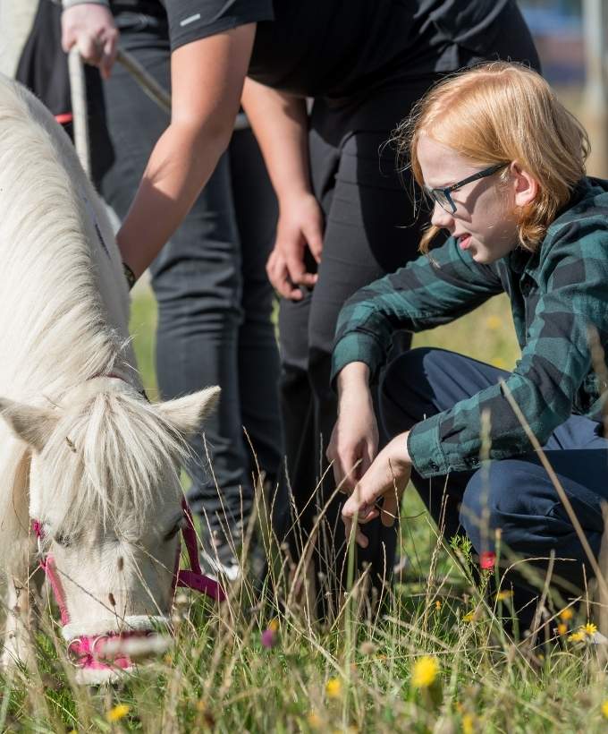Pony På Besøg Ved Uddannelsesmesse For Udsatte Unge