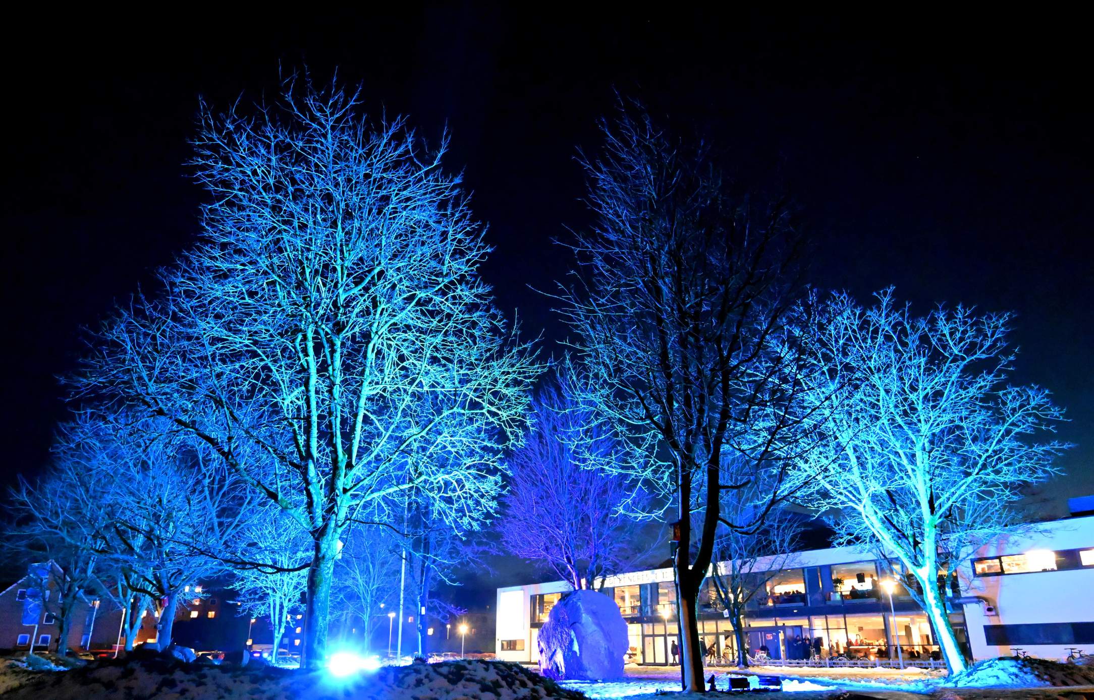 Epic Fest 2024 Krediteres John Mortensson