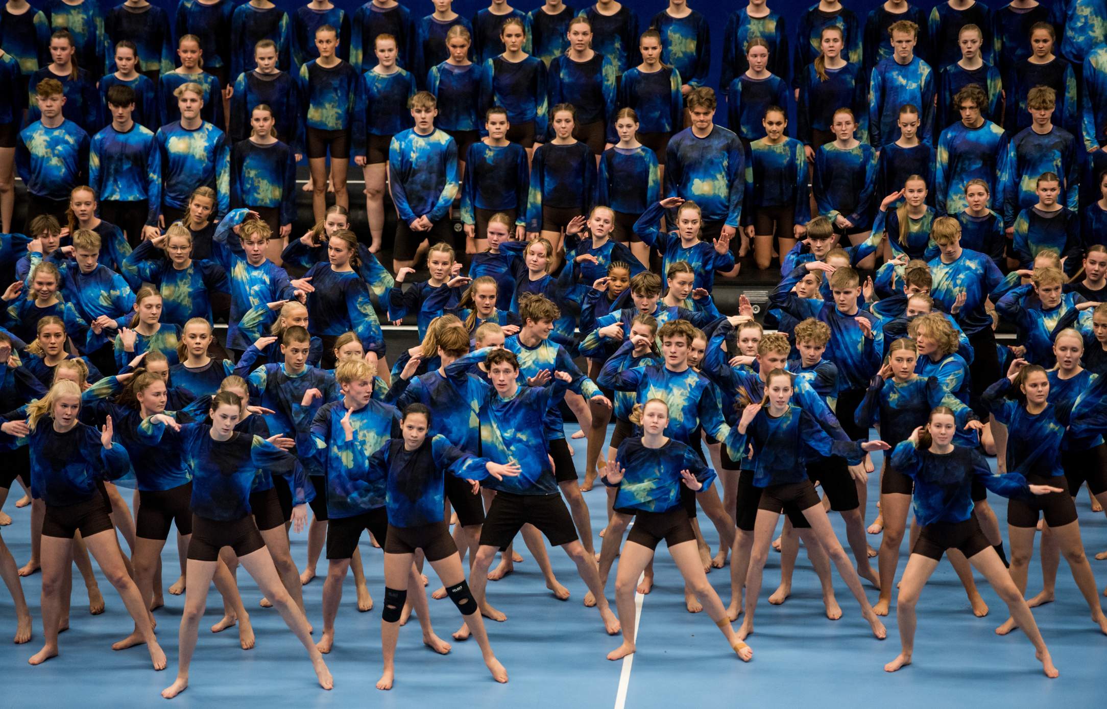 DGI Forårsopvisning I Roskilde