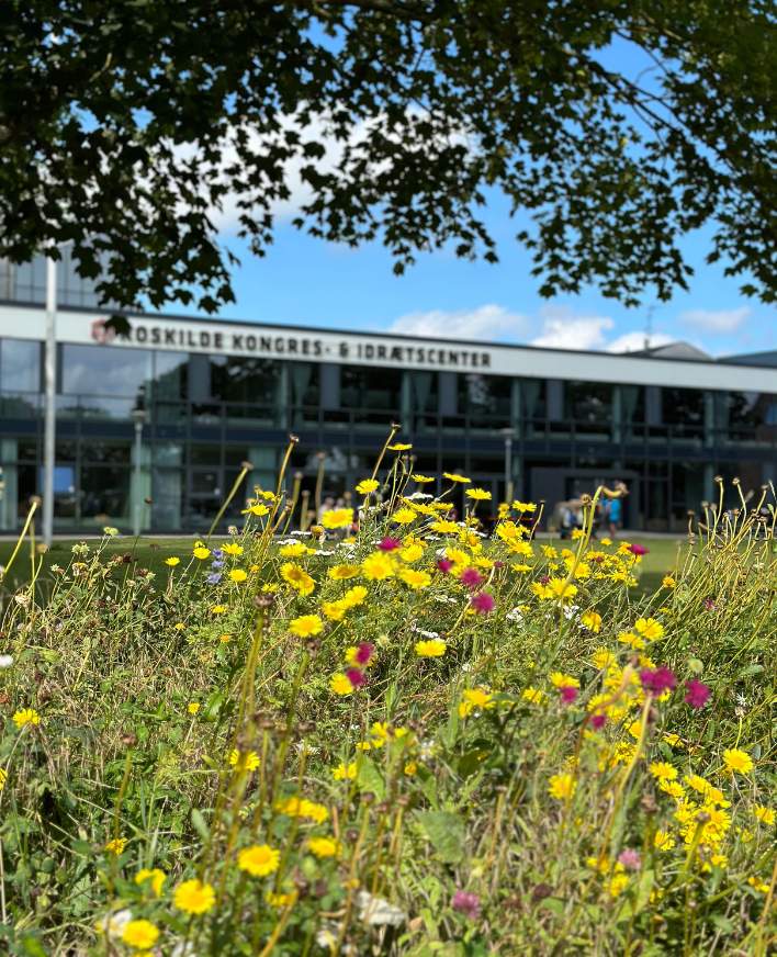 Sommer I Roskilde Kongres Og Idraetscenter708 X 872 Px