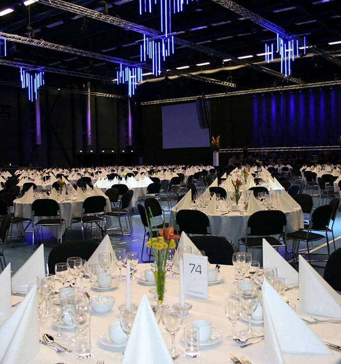 Fest Og Selskaber I RKIC 1348 X 1440 Px