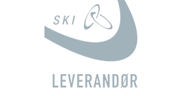 Ski