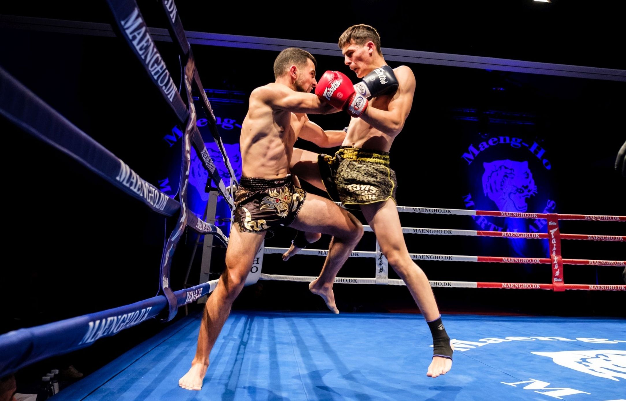 SPORT Gallery Max 2168 X 1388 Px 4 SPORT Gallery Max 2168 X 1388 Px 4