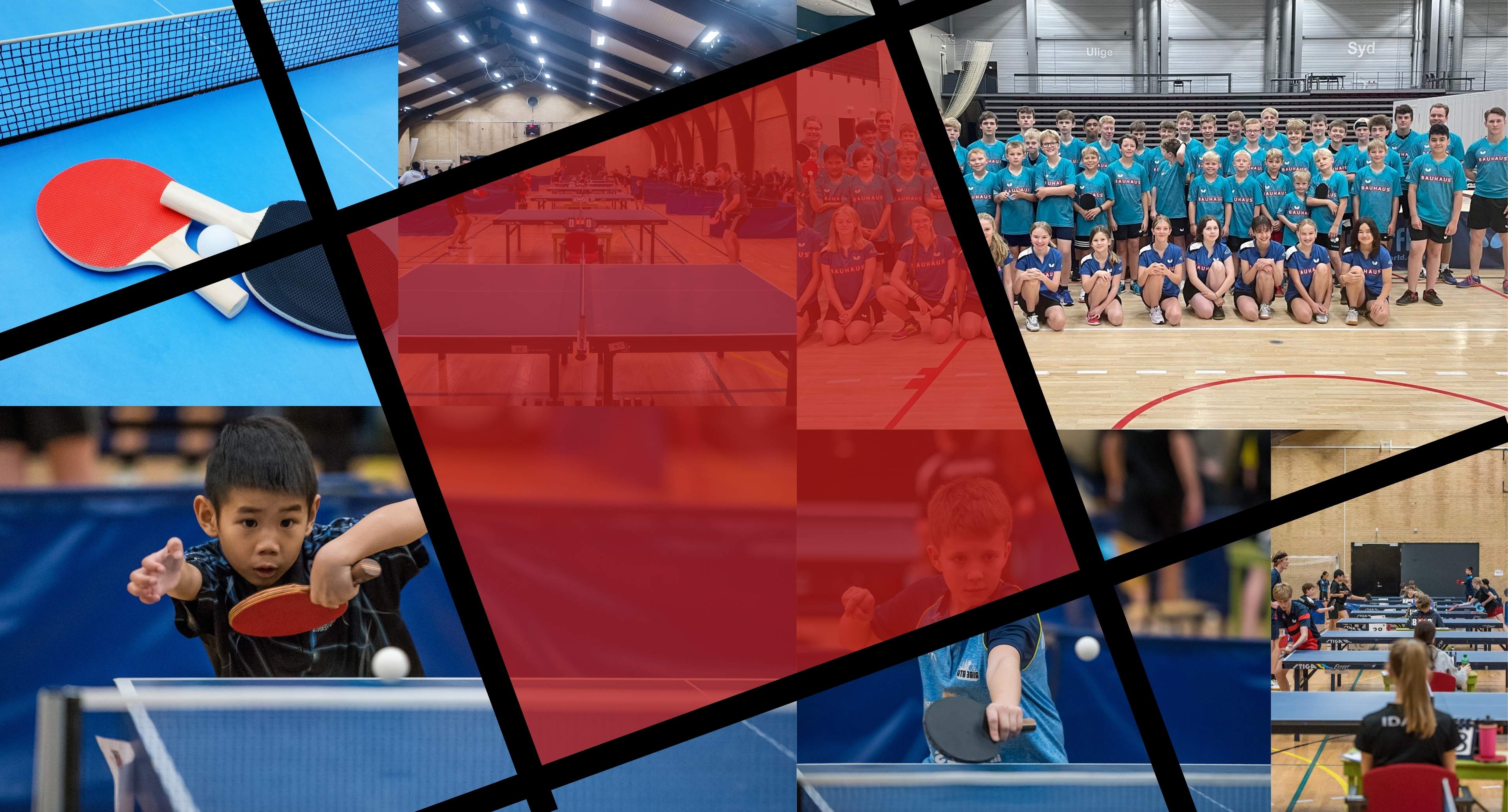 Sommerskole Bordtennis 3840 X 2068 Px