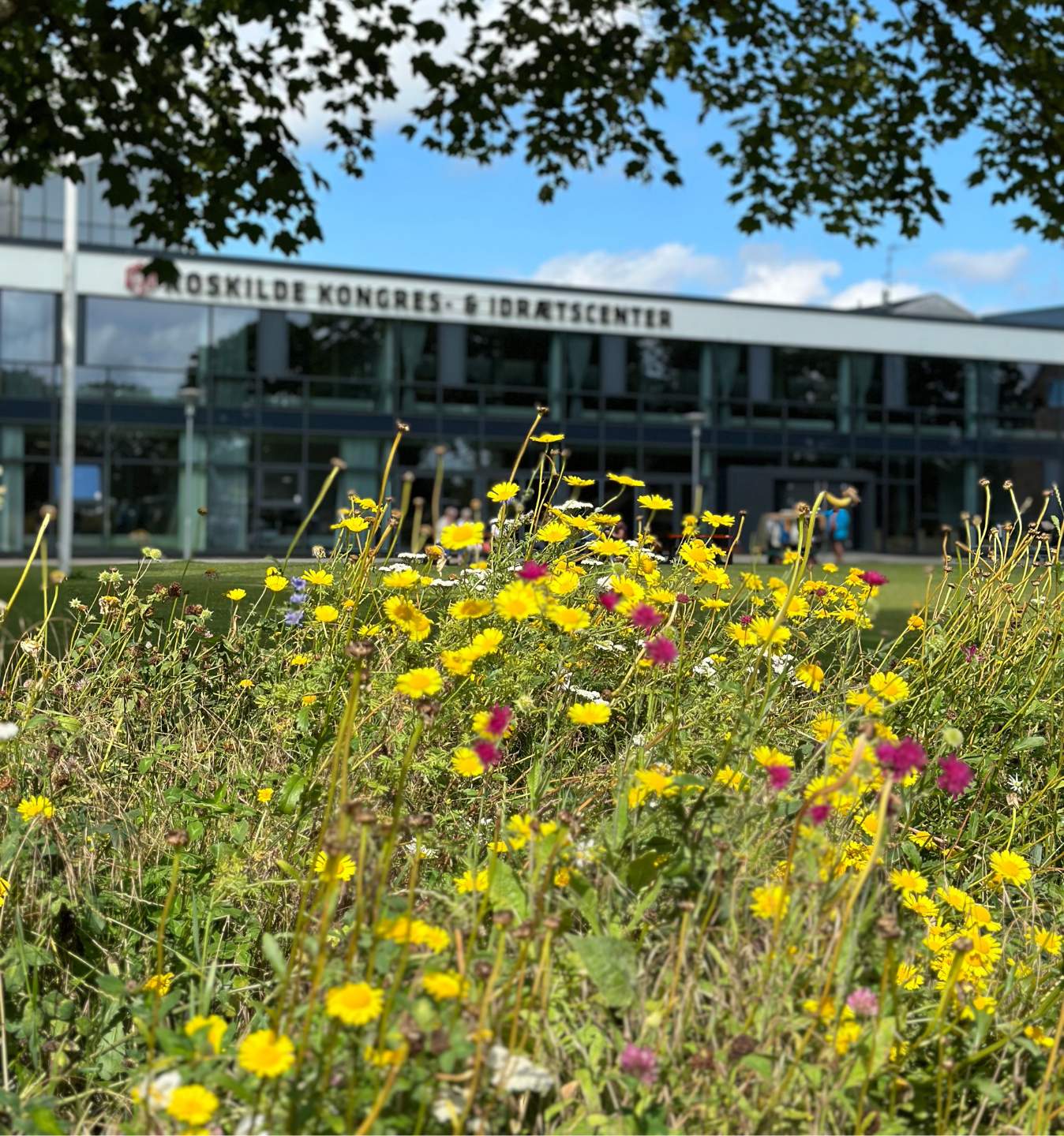 Sommer I Roskilde Kongres Og Idraetscenter 1348 X 1440 Px