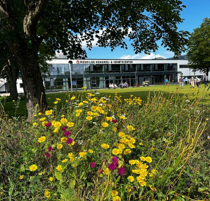 Hvordan Tager Roskilde Kongres Og Idrætscenter Ansvar 696Px 668 Px