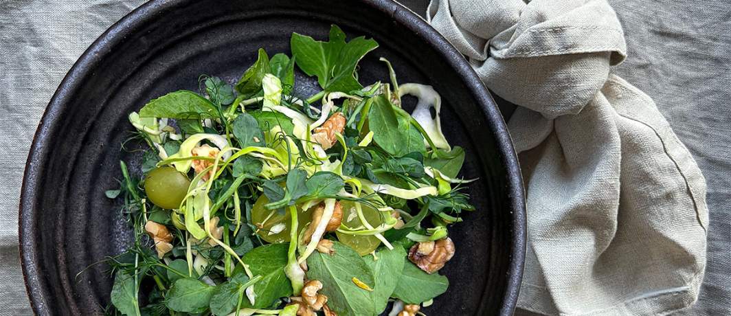 Det Grønne Dagsmøde 1064 X 460 Px 2